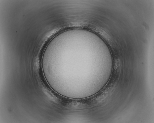 X0000112400632200908141340