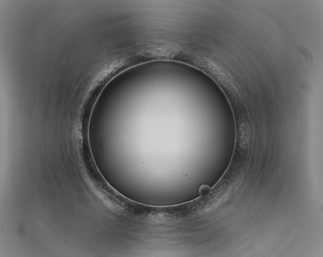X0000112400634200908141340