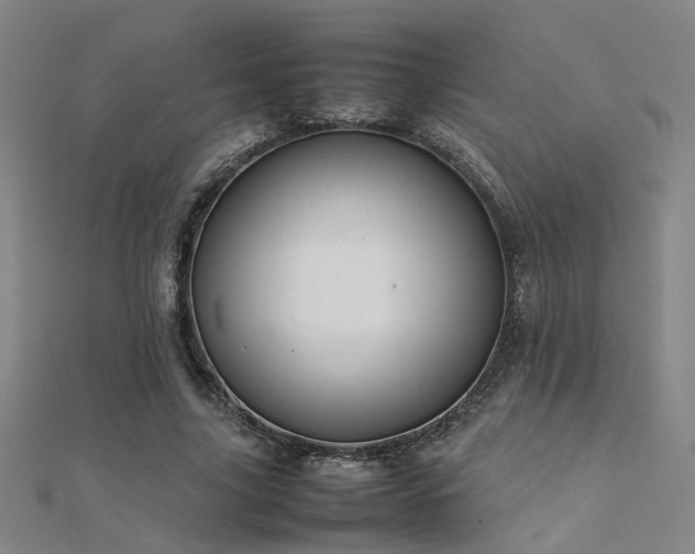 X0000112400635200908141340