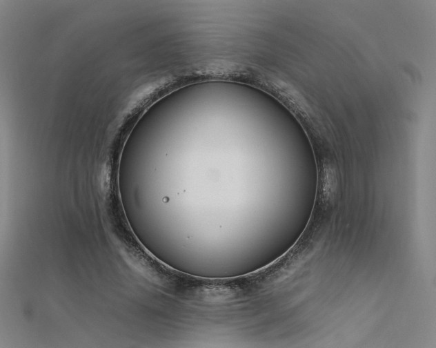 X0000112400636200908141340