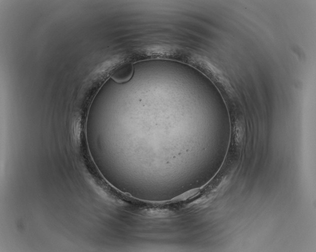 X0000112400637200908141340