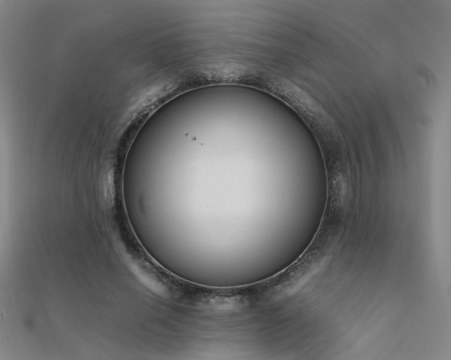 X0000112400638200908141340