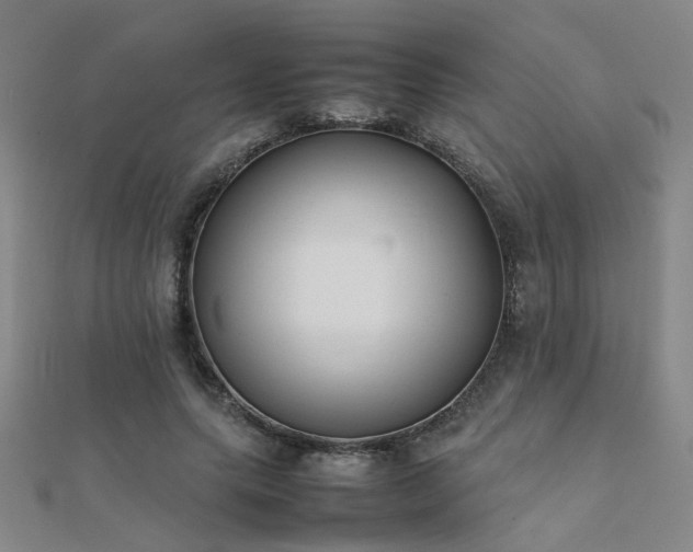 X0000112400639200908141340