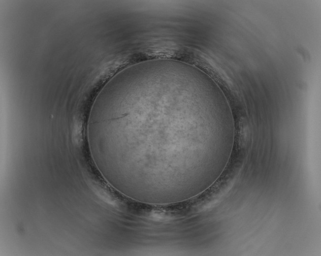 X0000112400641200908141340