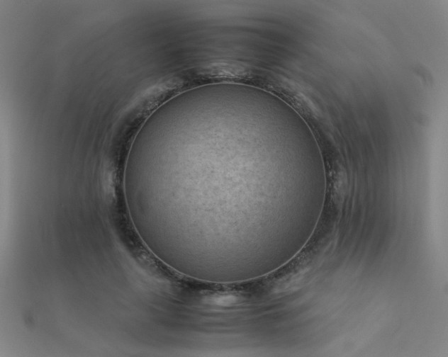 X0000112400643200908141340