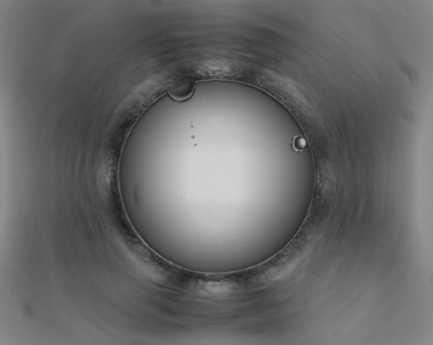 X0000112400645200908141340