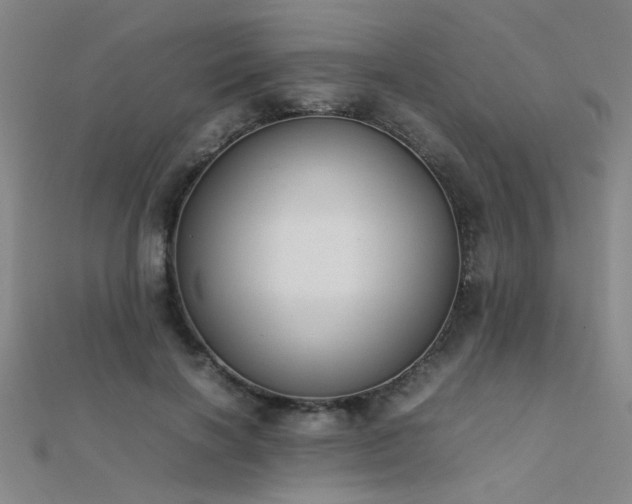 X0000112400646200908141340