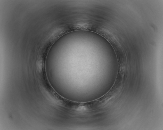 X0000112400647200908141340