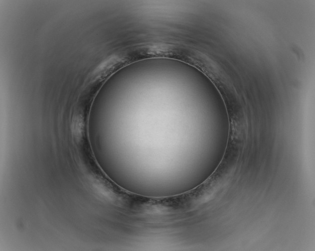 X0000112400648200908141340
