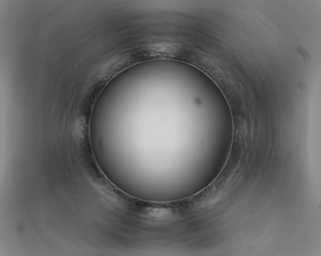 X0000112400649200908141340