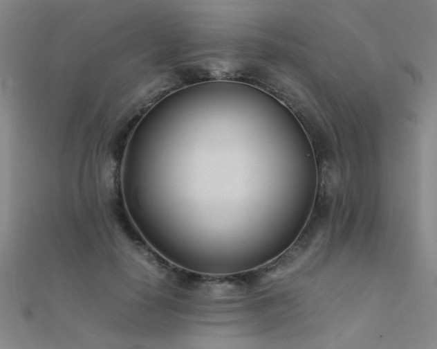X0000112400650200908141340