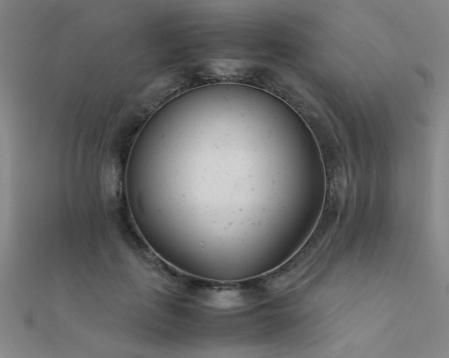 X0000112400651200908141340