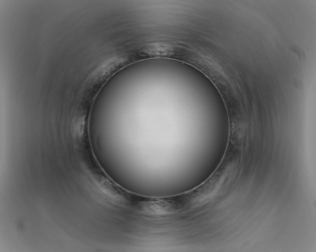 X0000112400652200908141340