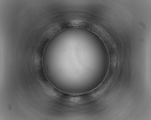 X0000112400653200908141340