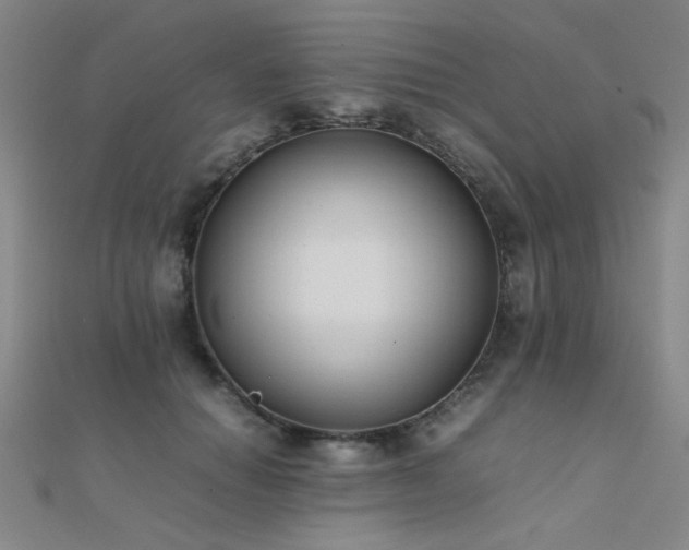 X0000112400654200908141340