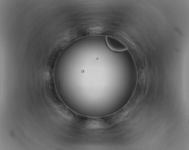X0000112400655200908141340