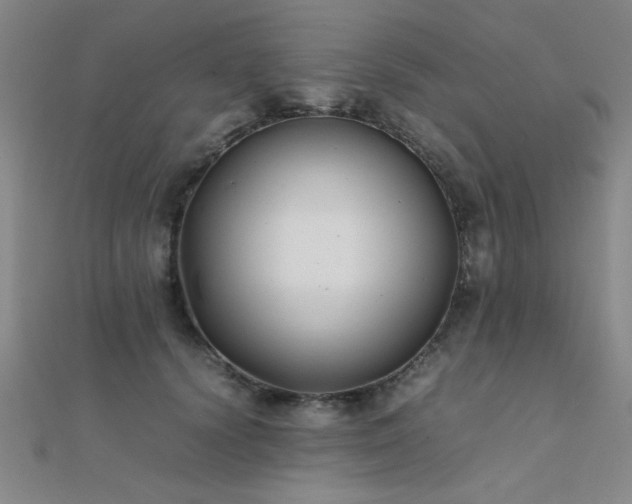 X0000112400656200908141340