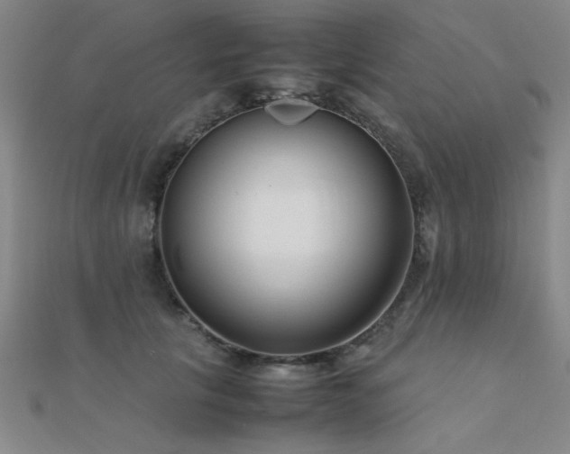 X0000112400657200908141340