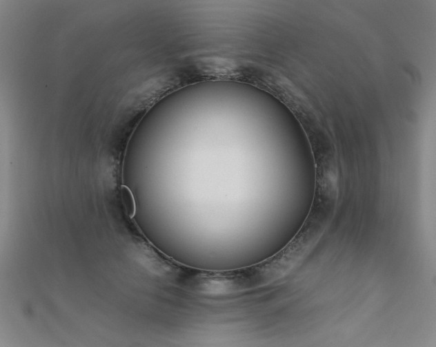 X0000112400658200908141340