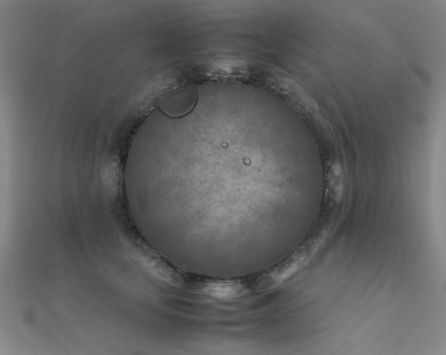 X0000112400659200908141340