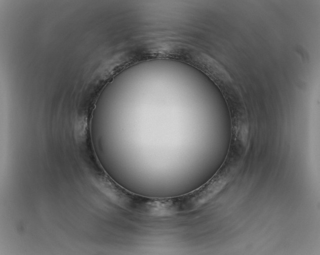 X0000112400660200908141340