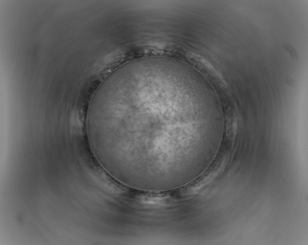 X0000112400661200908141340