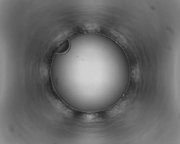 X0000112400662200908141340