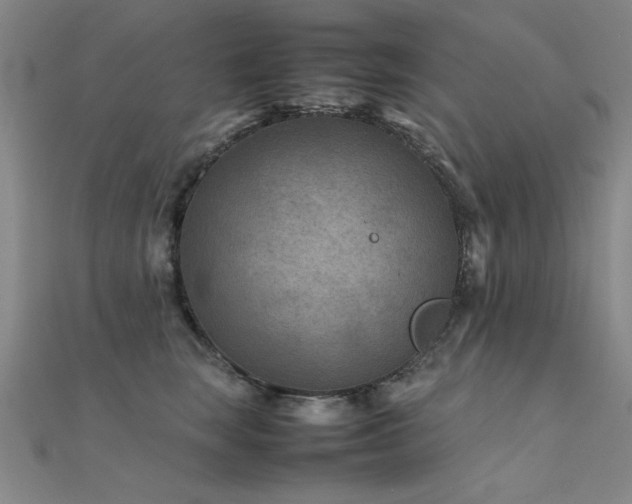 X0000112400663200908141340