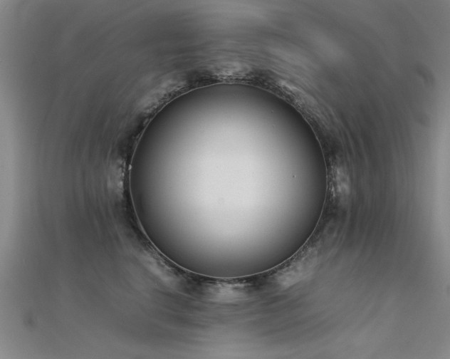 X0000112400664200908141340