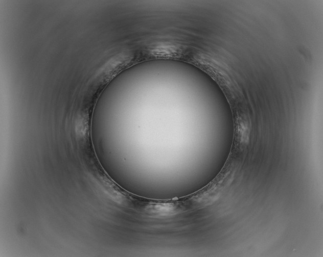 X0000112400665200908141340