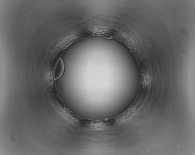 X0000112400666200908141340