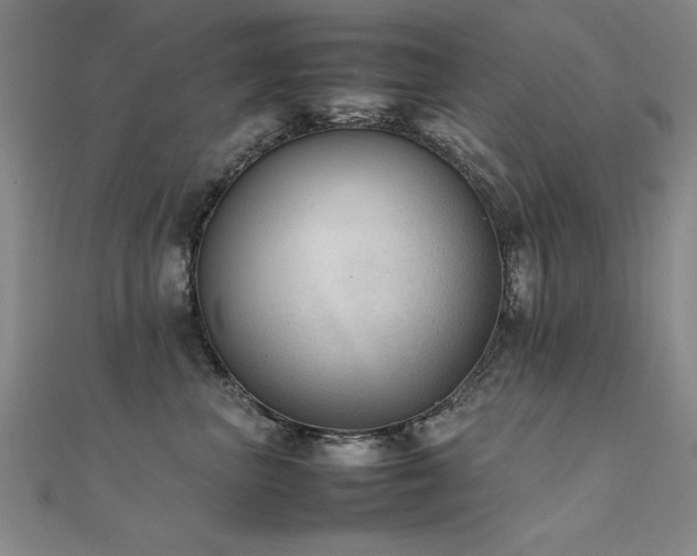 X0000112400667200908141340