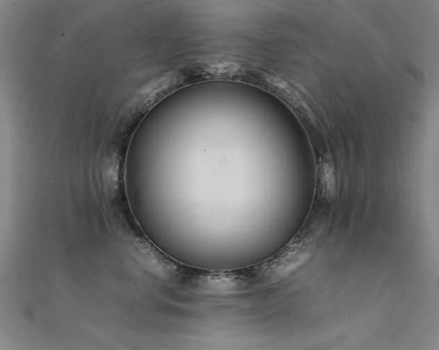X0000112400668200908141340