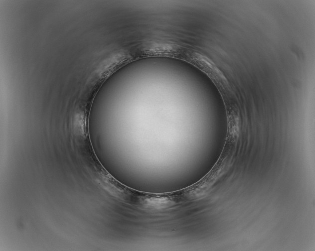 X0000112400669200908141340