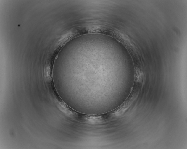 X0000112400670200908141340