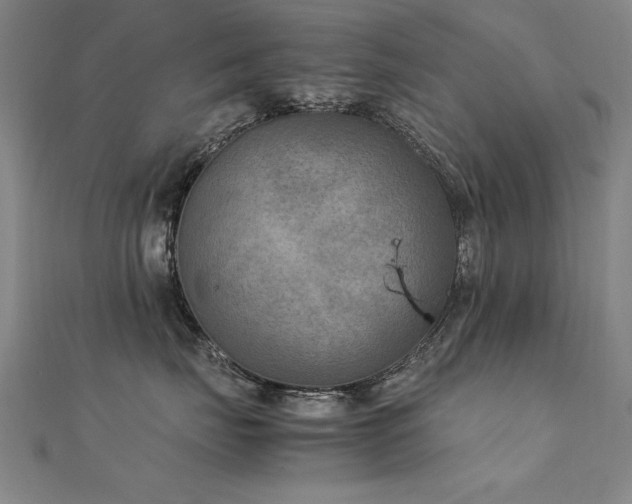 X0000112400671200908141340