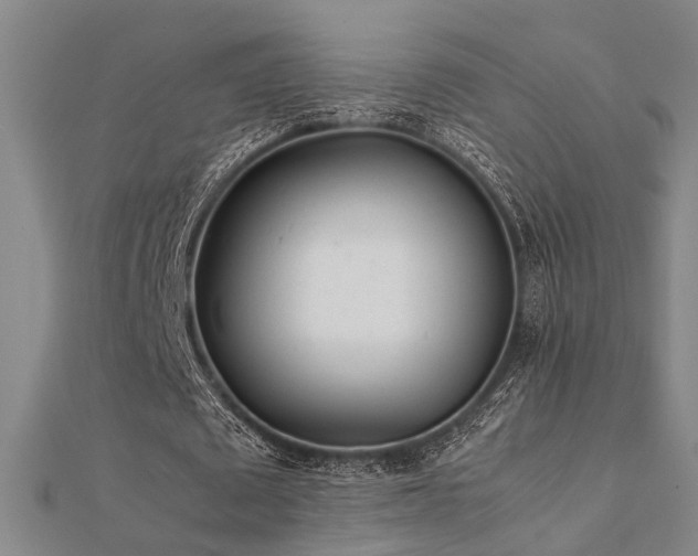X0000112400673200908141340