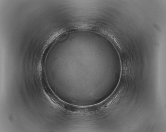 X0000112400674200908141340