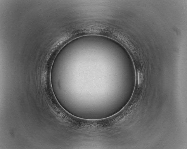X0000112400675200908141340