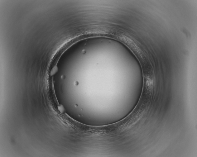 X0000112400676200908141340