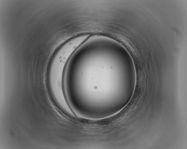X0000112400677200908141340
