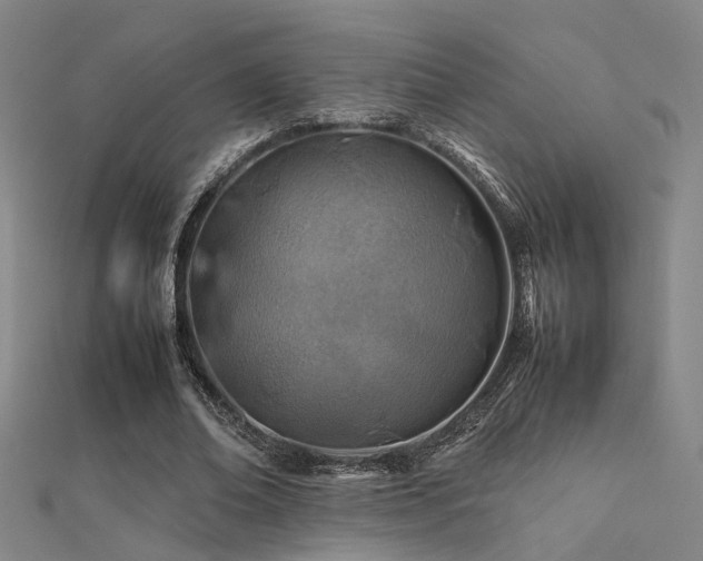 X0000112400678200908141340