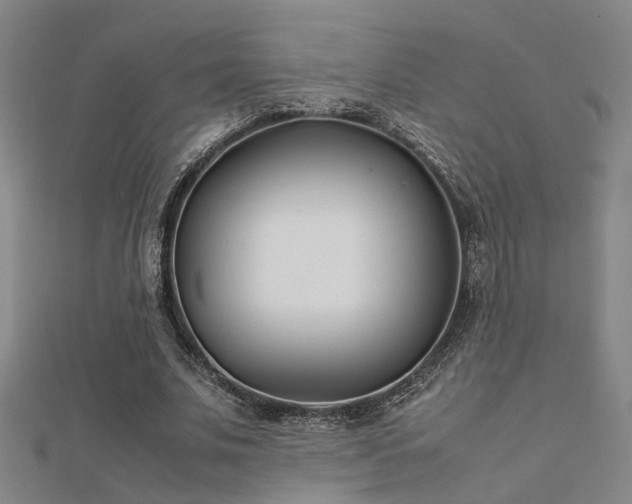X0000112400679200908141340