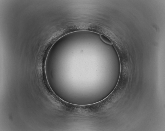 X0000112400681200908141340