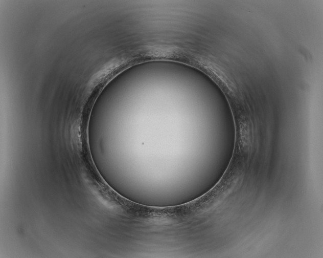 X0000112400682200908141340