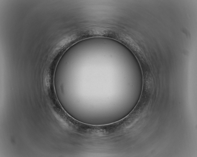 X0000112400683200908141340