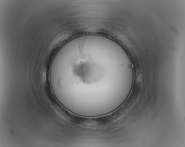 X0000112400685200908141340