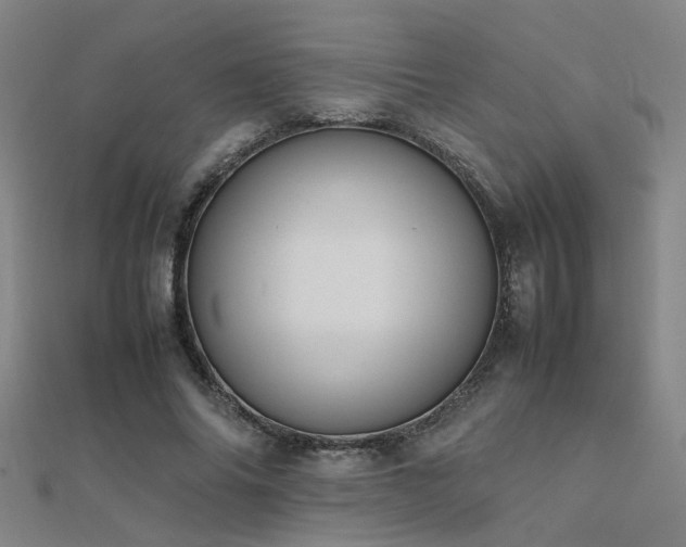 X0000112400686200908141340