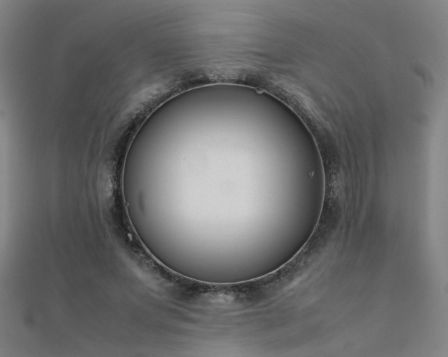 X0000112400687200908141340