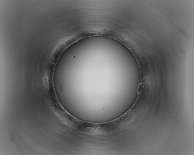 X0000112400688200908141339